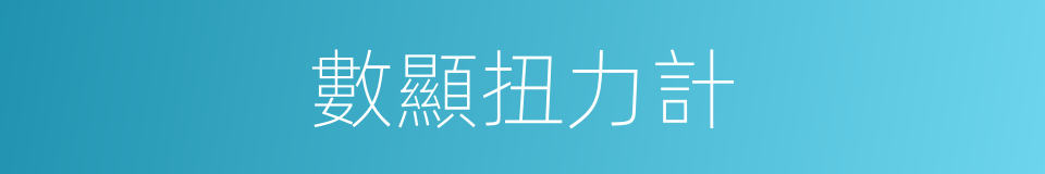 數顯扭力計的同義詞
