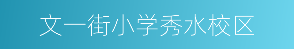 文一街小学秀水校区的同义词