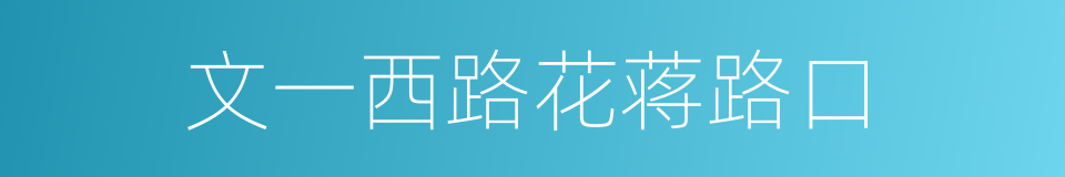 文一西路花蒋路口的同义词