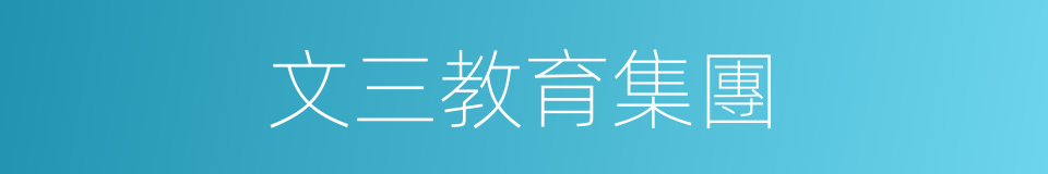 文三教育集團的同義詞