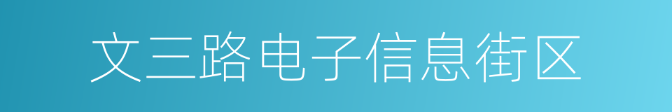 文三路电子信息街区的同义词