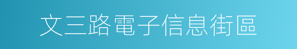 文三路電子信息街區的同義詞