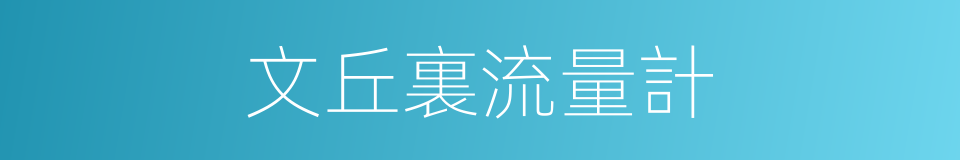 文丘裏流量計的同義詞