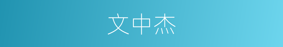 文中杰的同义词