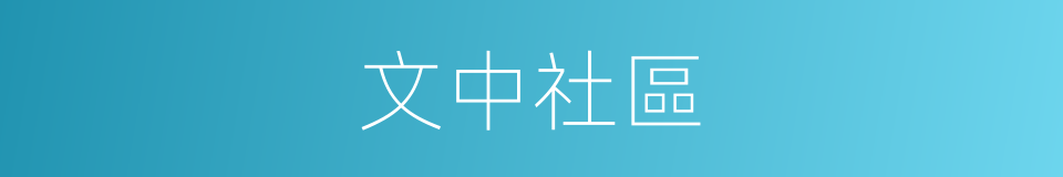 文中社區的同義詞