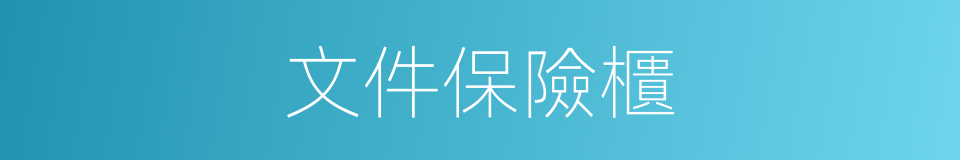 文件保險櫃的同義詞