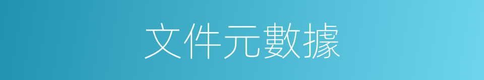 文件元數據的同義詞