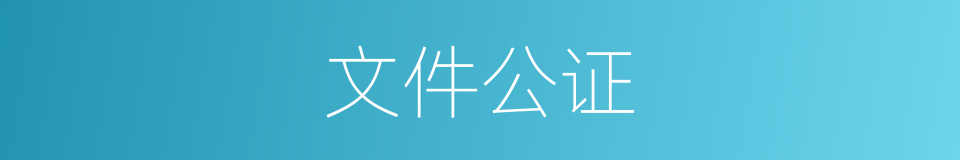 文件公证的同义词