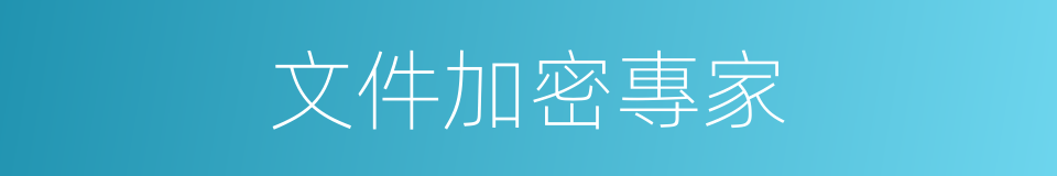 文件加密專家的同義詞