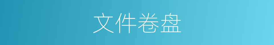 文件卷盘的同义词