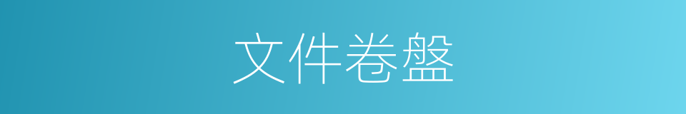 文件卷盤的同義詞