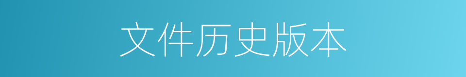 文件历史版本的同义词