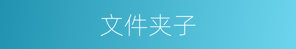 文件夹子的同义词