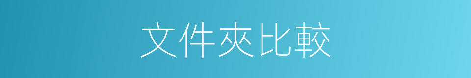 文件夾比較的同義詞