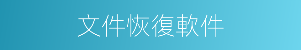 文件恢復軟件的同義詞