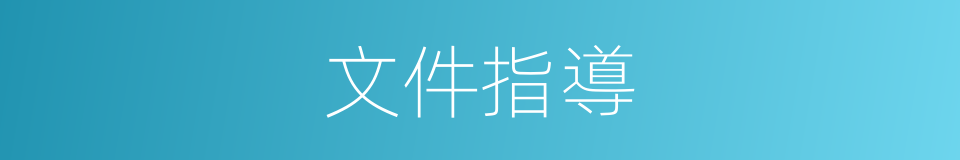 文件指導的同義詞