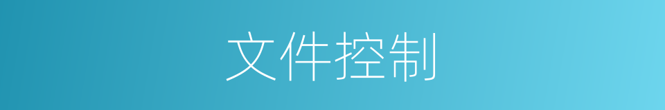 文件控制的同义词