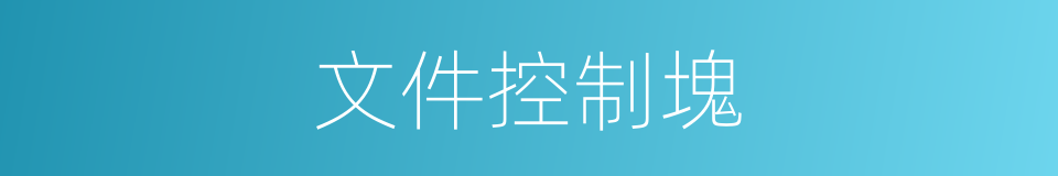 文件控制塊的同義詞
