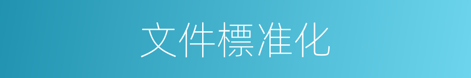 文件標准化的同義詞