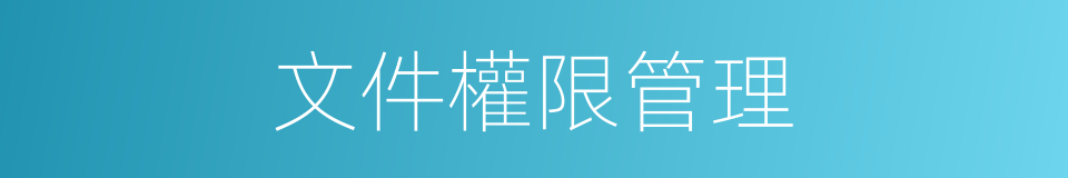 文件權限管理的同義詞
