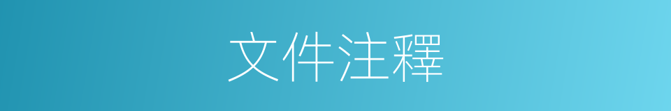 文件注釋的意思