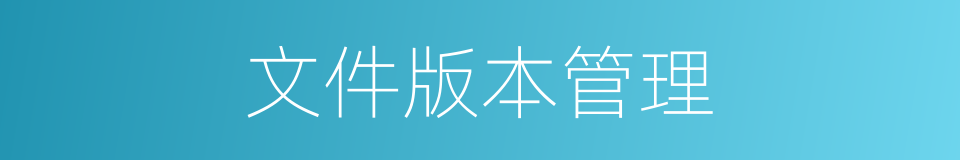 文件版本管理的同义词