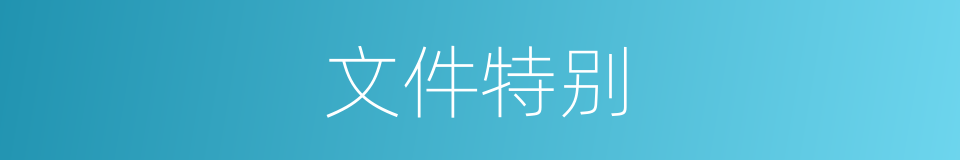 文件特别的意思