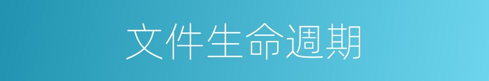 文件生命週期的同義詞