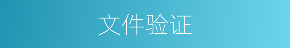 文件验证的同义词