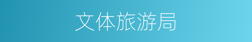 文体旅游局的同义词