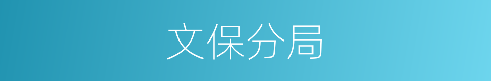文保分局的同义词