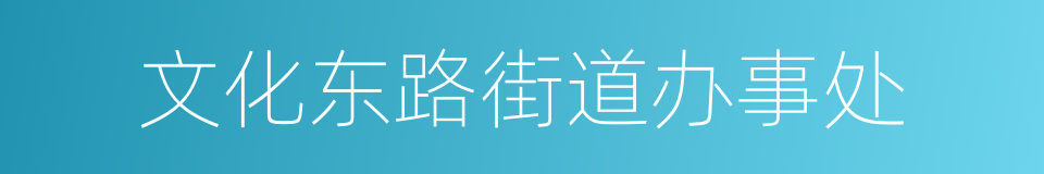 文化东路街道办事处的同义词