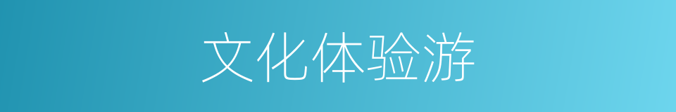 文化体验游的同义词