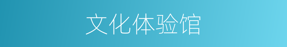 文化体验馆的同义词