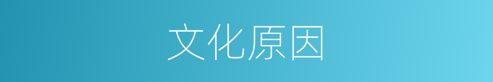 文化原因的同义词