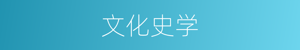 文化史学的同义词
