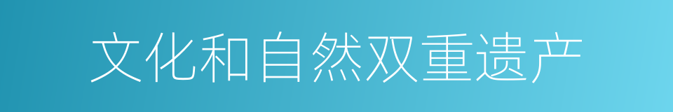 文化和自然双重遗产的同义词