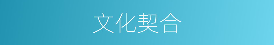 文化契合的同义词