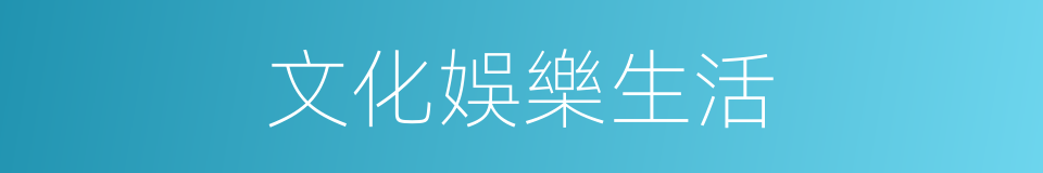 文化娛樂生活的同義詞