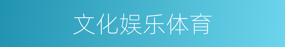 文化娱乐体育的同义词