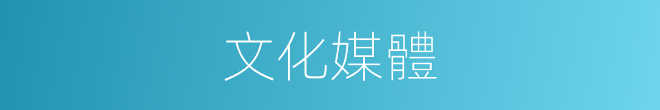 文化媒體的同義詞
