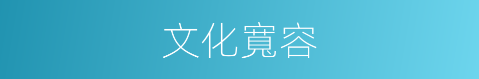 文化寬容的同義詞