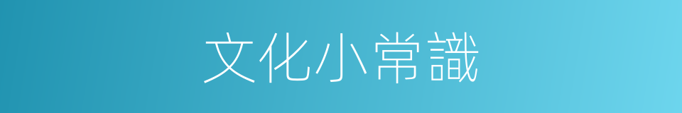 文化小常識的同義詞