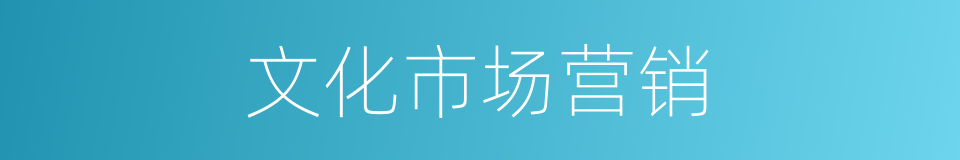 文化市场营销的同义词