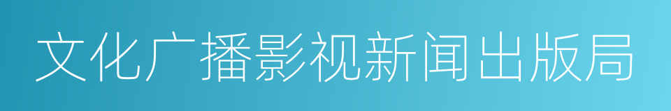 文化广播影视新闻出版局的同义词