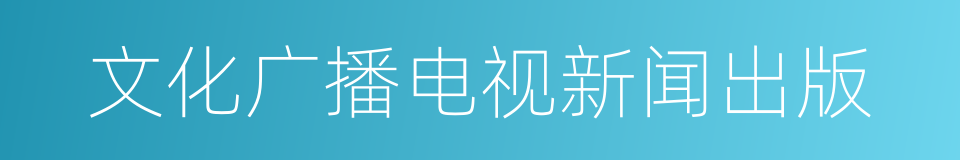 文化广播电视新闻出版的同义词