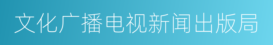 文化广播电视新闻出版局的同义词