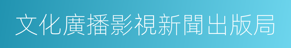 文化廣播影視新聞出版局的同義詞