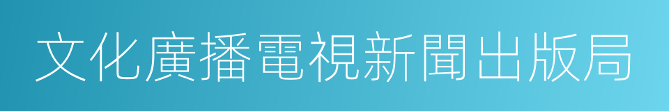 文化廣播電視新聞出版局的同義詞