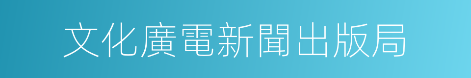 文化廣電新聞出版局的同義詞